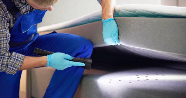 Best Wasp Removal Services  in Matoaca, VA