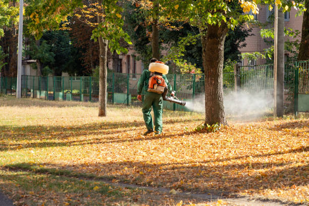 Best Emergency Pest Control  in Matoaca, VA