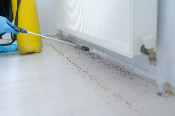 Best Commercial Pest Control Services  in Matoaca, VA