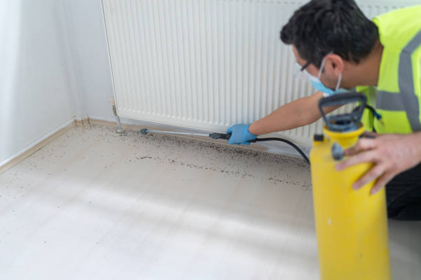 Best Affordable Exterminators  in Matoaca, VA