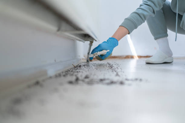 Best Mosquito Control Services  in Matoaca, VA