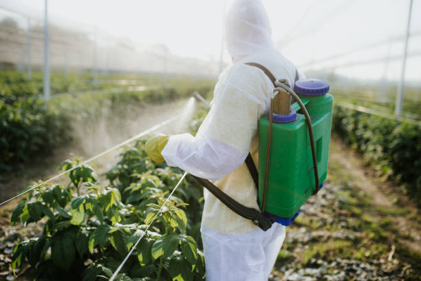 Best Pest Removal Services  in Matoaca, VA